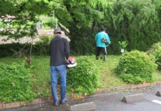 前庭の草刈り