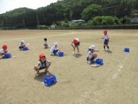 種まきの様子②