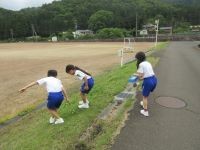 探している様子